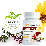 Гепостан. Фітокомплекс для очищення печінки, 60 капсул, фото 6