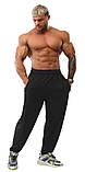 Штани спортивні легкі BigSam 1353, фото 2