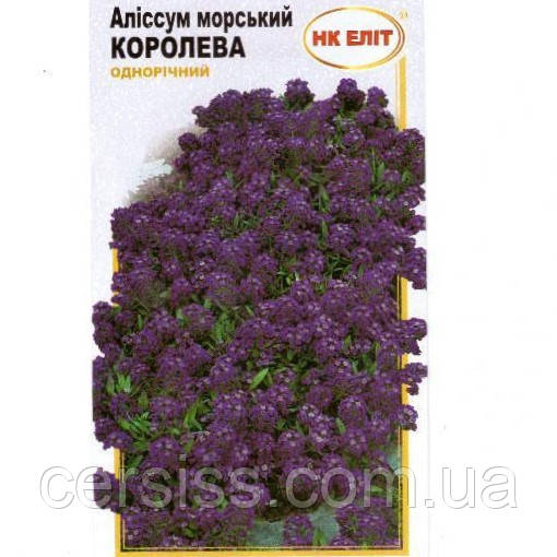 Насіння Аліссум морський Королева, 0,2 г