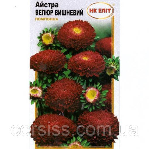 Айстра помпонна Велюр вишневий, насіння 0,3 г