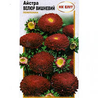 Айстра помпонна Велюр вишневий, насіння 0,3 г