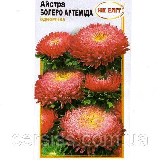 Айстра помпонна Болеро Артеміда, насіння 0,3 г
