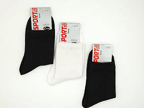 Жіночі шкарпетки середні шкарпетки стрейчеві Sport Line спортивна резинка рубчик 36-40 12 пар/уп асорті