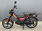 Мопед Musstang Delta MT110-1 Мустанг дельта 110 Чорний, фото 11
