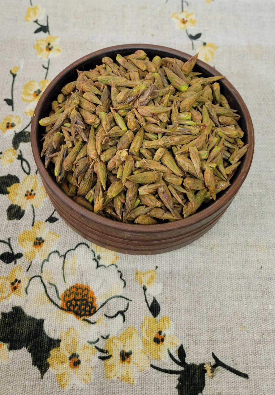Тополя брунька (Populus nigra) 1 кг