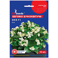 Бегония Фея белая F1 10 шт Gl Seeds