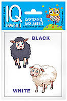 Книга IQ Малыш: English Противоположности (9785811266609) Айрис