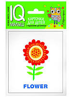 Книга IQ Малыш: English Растения (9785811257218) Айрис