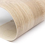 Побутовий лінолеум Tarkett Sommer Delta Latur 1 - ширина 3 і 3,5 і 4 метри, фото 3