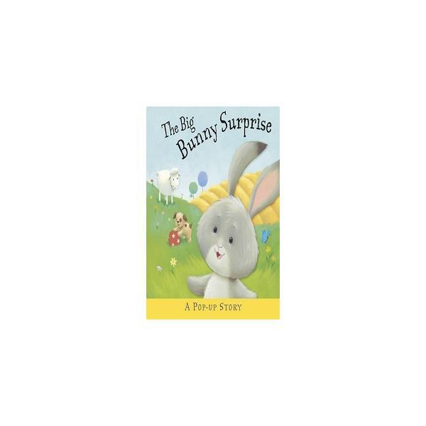 Книга Big Bunny Surprise,The (9781848777699) Templar Publishing