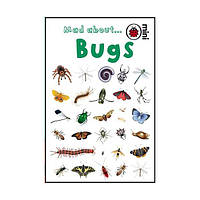Книга Ladybird Mini: Mad About Bugs (9781846468018) Ladybird