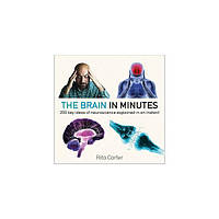 Книга The Brain in Minutes (9781786485793) Quercus Publishing