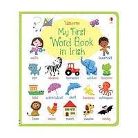 Книга My First Word Book in Irish (9781409570493) Usborne