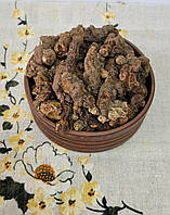 Калган корінь перстач (Tormentillae radix)