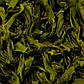 Чай зелений "Альпійська хмара" 500 г, в жерстяній банці, фото 4