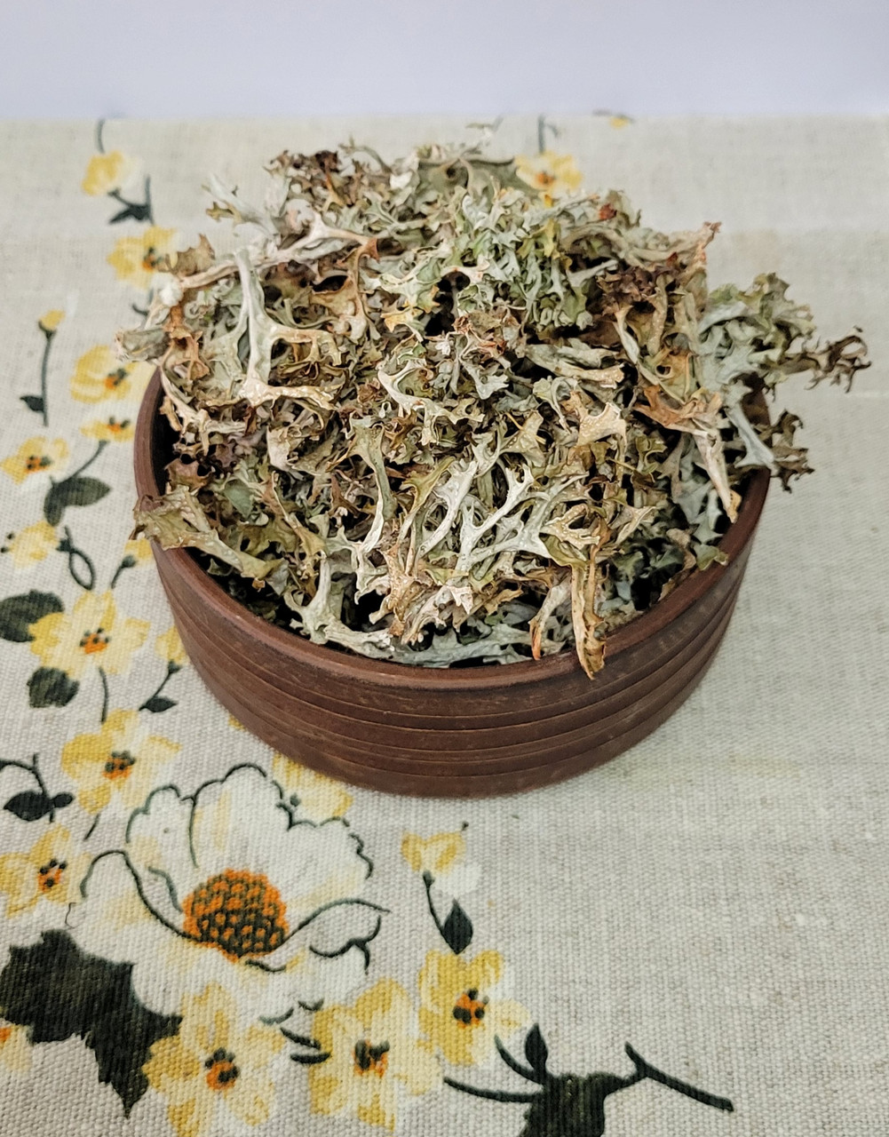 Ісландський мох (Cetraria Islandica)