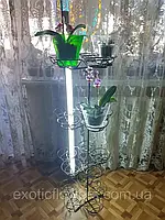 Подставка на 25 колец для орхидей "Лиза-8" с подсветкой