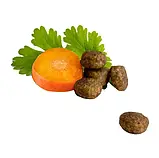 Happy Cat Junior Land-Geflugel сухий корм для кошенят з 4 по 12 місяць з птицею, 300 г, фото 2