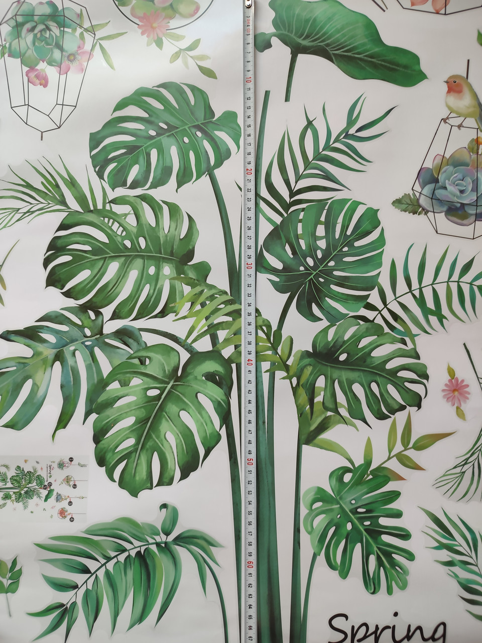 Вінілові наклейки на стіну Зелене листя папороті (лист 60 х 90 см) Б83-22 - фото 8 - id-p1791689521