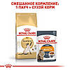 Royal Canin (Роял Канін) Siamese Adult 38 - для сіамських кішок старше 12 місяців, 10кг., фото 4