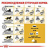 Royal Canin (Роял Канін) Siamese Adult 38 - для сіамських кішок старше 12 місяців, 10кг., фото 7