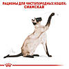 Royal Canin (Роял Канін) Siamese Adult 38 - для сіамських кішок старше 12 місяців, 10кг., фото 5
