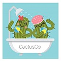 Cactus_co.ua