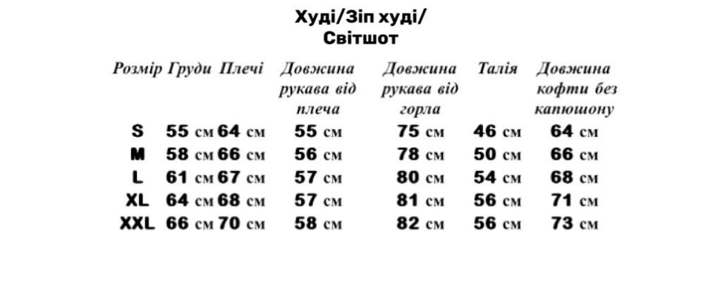 Мужской спортивный костюм весна осень зе норт фейс / худи черный + черная кепка + штаны the north face - фото 3 - id-p1793037106