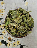Вахта (бобівник)трьохлистна лист 100 г  Menyanthes trifoliata folia, фото 3