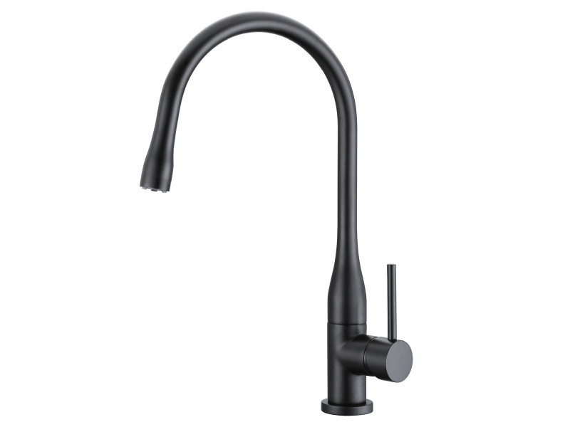 Змішувач для кухні Asignatura Delicate 80548602 чорний матовий, фото 1