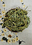 Ясень лист (Fraxinus folia) 500 г, фото 3