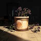 Натуральна Ароматична Свічка 100% соєвий віск Big Aromatherapy Candle Flagolie 170g (0100) Spicy Relaxation, фото 2