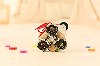 Бізікубик дерев'яний без фарби 5х5х5 см, фото 3