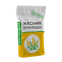 Насіння кукурудзи ДК ВЕЛЕС (ФАО 270)