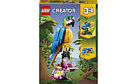 LEGO Creator Экзотический попугай 253 детали (31136)