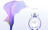 Calvin Klein Sheer Beauty Essence туалетна вода 100 ml. (Кельвін Кляйн Шеєр Б'юті Ессенс), фото 5