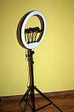 Набір блогера світлодіодна кільцева лампа 35см зі штативом селфі кільце, фото 3