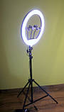 Набір блогера світлодіодна кільцева лампа 35см зі штативом селфі кільце, фото 4