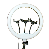 Набір блогера світлодіодна кільцева лампа 35см зі штативом селфі кільце, фото 7