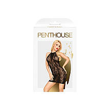 Мінісукня Penthouse Cautious Cat XL Black, мереживо, вставка в зоні декольте, виріз на спині, фото 3