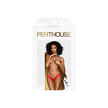 Трусики-тонг Penthouse Dangerous Darling L/XL Red, мереживо, висока посадка, виріз спереду, бантик, фото 3