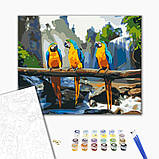 Картина за номерами Тропічні ара 40х50см BrushMe BS25500 Картини в цифрах Папуги Картина-розфарбування по номерах, фото 2