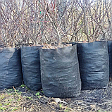 Grow Bag 20 літрів Тканинний горщик / агротекстильні горщики для рослин (щільність 50 г/м2), фото 8