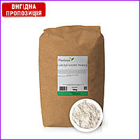 Любисток корінь любистку мелений любисток сушений любисток спеція 10 кг PL