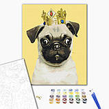 Картина за номерами Тварини Коронований мопс Набір для розпису розмальовка 40х50см BrushMe BS52654, фото 2
