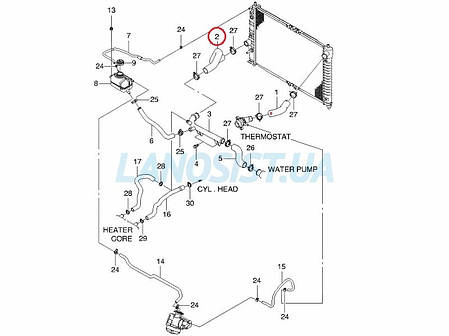 Патрубок радіатора Авео АКПП OEM (нижній) 96536598, фото 2