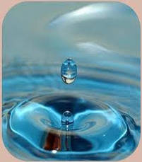 Системи дезінфекції води в басейні. Види і відмінності.