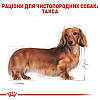 Royal Canin (Роял Канін) Dachshund - Сухий корм для такс 1.5 кг, фото 4