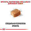 Royal Canin (Роял Канін) Dachshund - Сухий корм для такс 1.5 кг, фото 6
