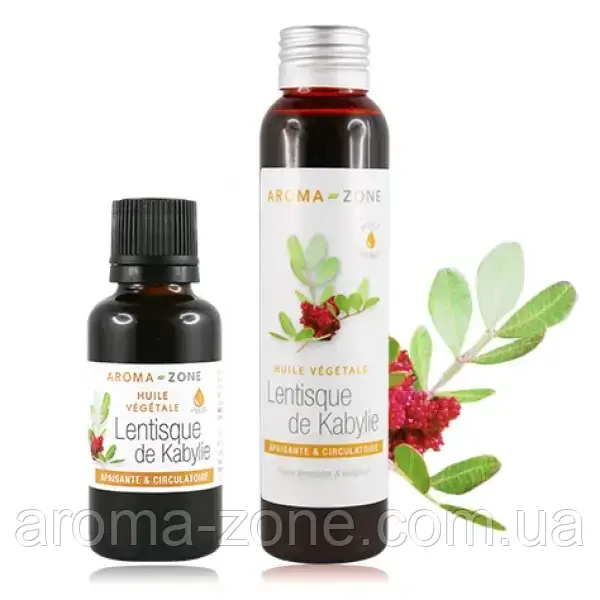 Рослинна олія Мастикова дерево ( Pistacia lentiscus) 100 мл